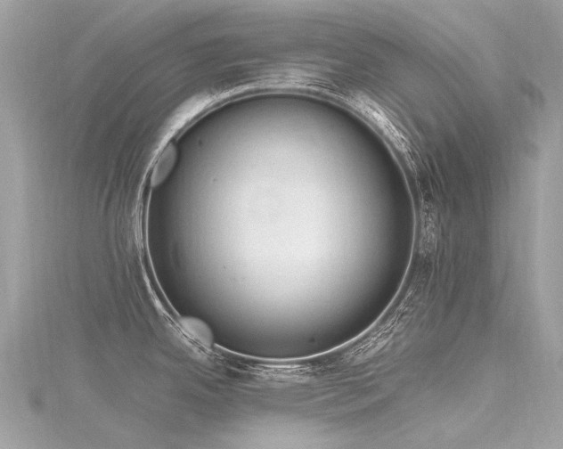 X0000116311342200911301455