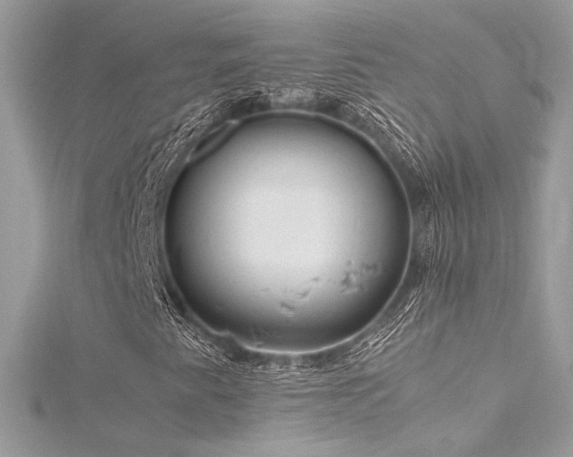 X0000116311345200911301454