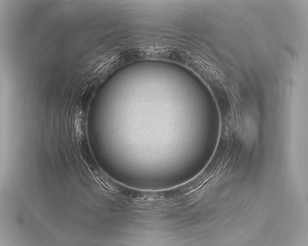 X0000116311346200911301454