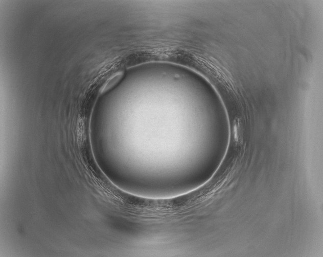 X0000116311347200911301454