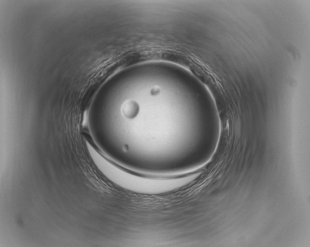 X0000116311348200911301454