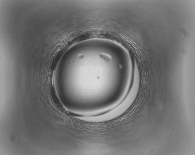 X0000116311349200911301454