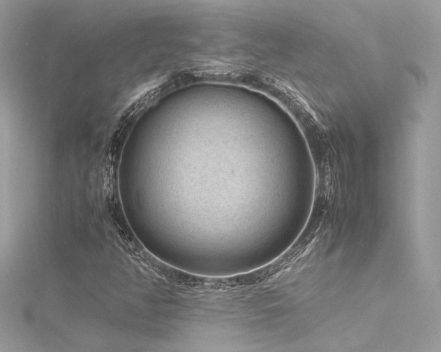 X0000116311350200911301454