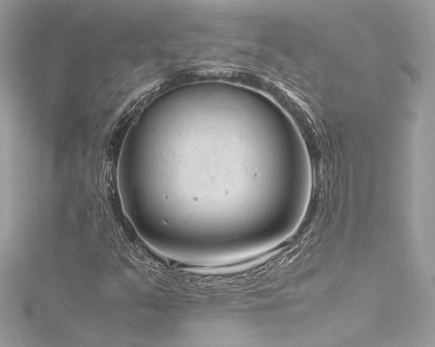 X0000116311351200911301454