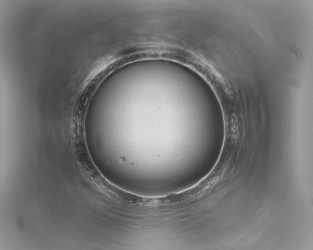 X0000116311352200911301454