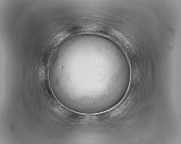 X0000116311353200911301454