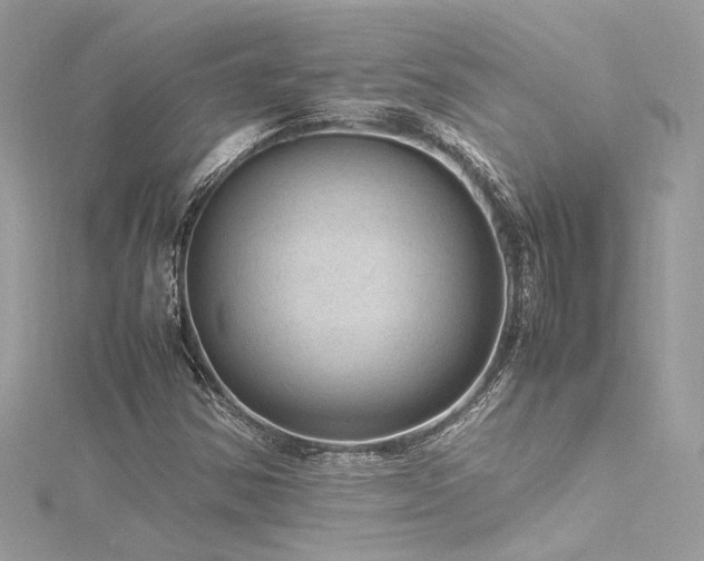 X0000116311354200911301454