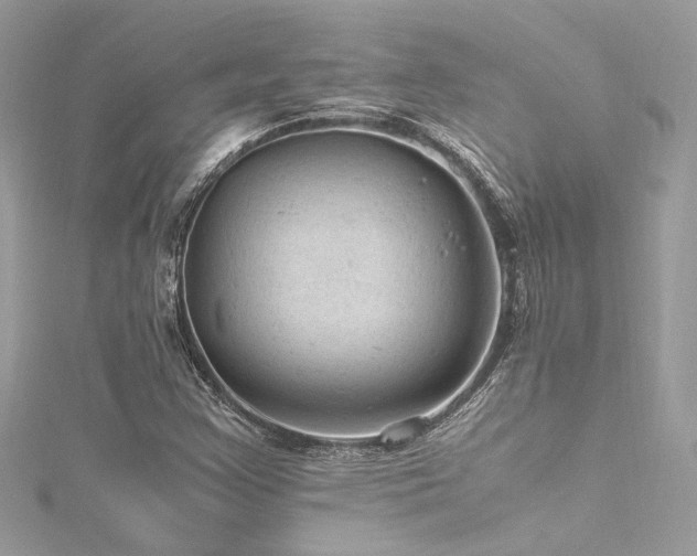 X0000116311355200911301454