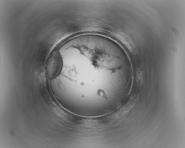 X0000116311356200911301454