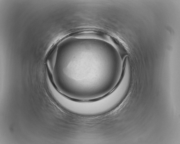 X0000116311357200911301454