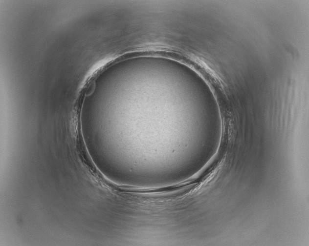 X0000116311358200911301454