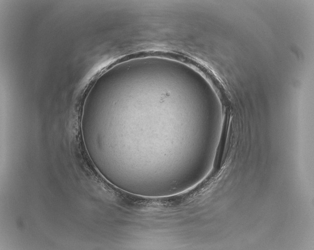 X0000116311359200911301454