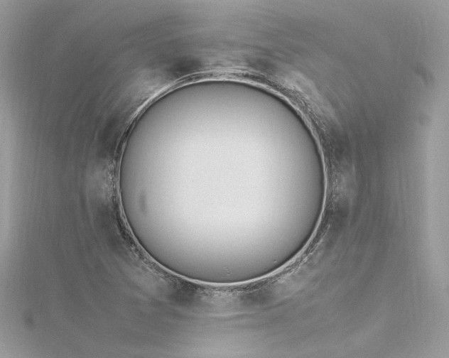 X0000116311361200911301454