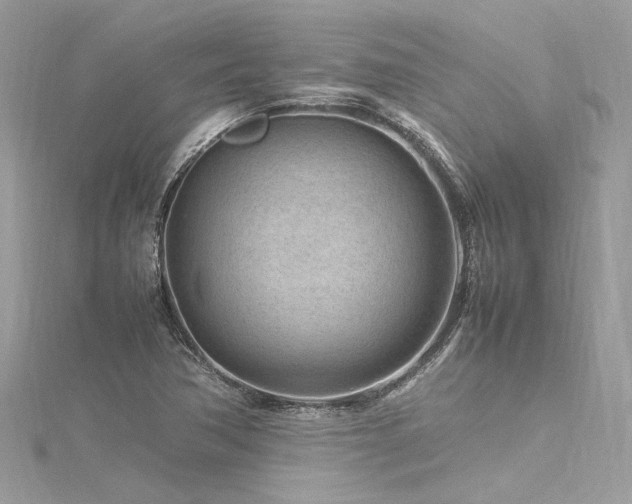 X0000116311362200911301454