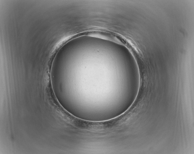 X0000116311363200911301454