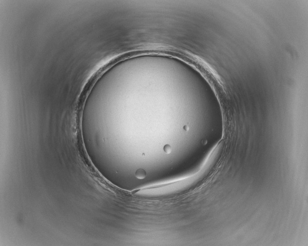 X0000116311364200911301454