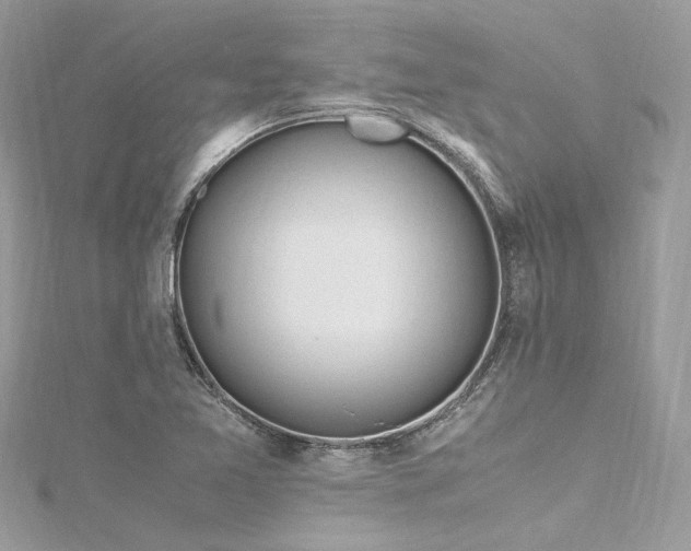 X0000116311365200911301454