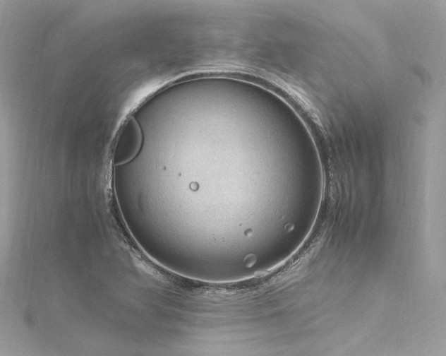 X0000116311366200911301454