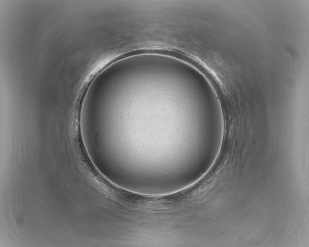 X0000116311367200911301454