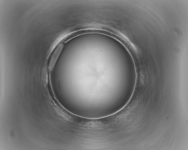 X0000116311368200911301454