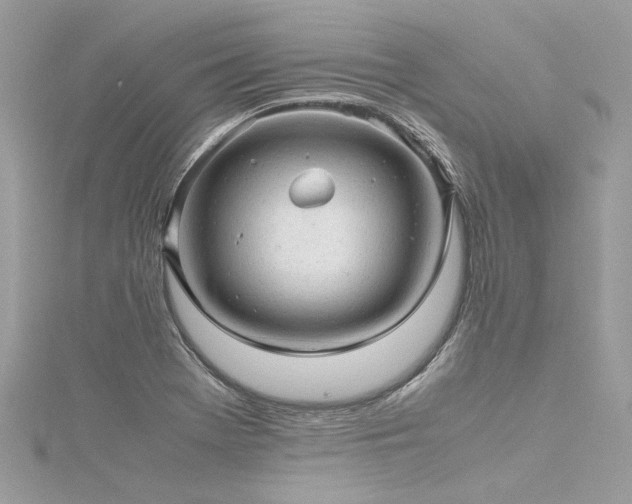 X0000116311369200911301454