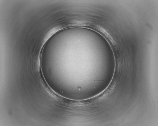 X0000116311370200911301454