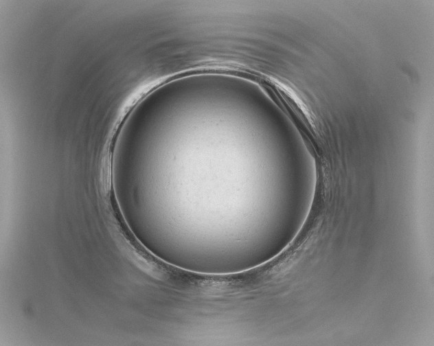 X0000116311371200911301454