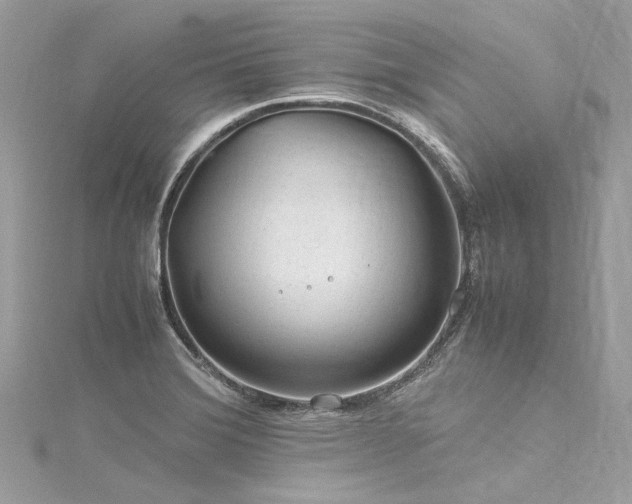 X0000116311372200911301454