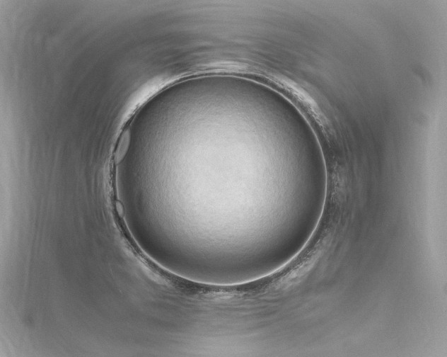 X0000116311373200911301454