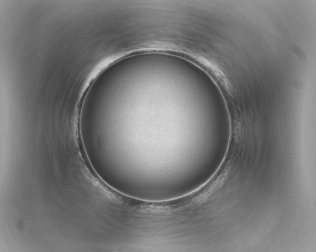 X0000116311374200911301454