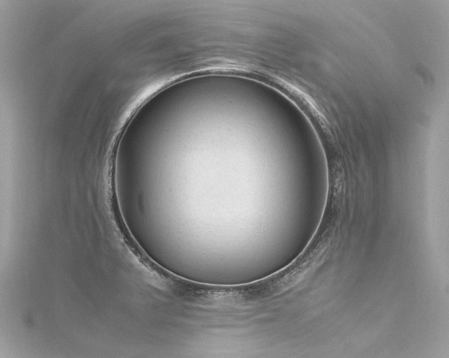 X0000116311375200911301454