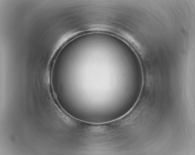 X0000116311376200911301454