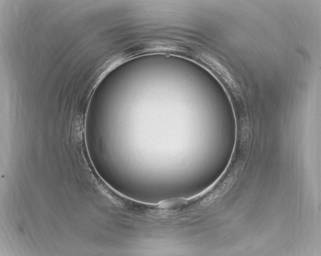 X0000116311377200911301454