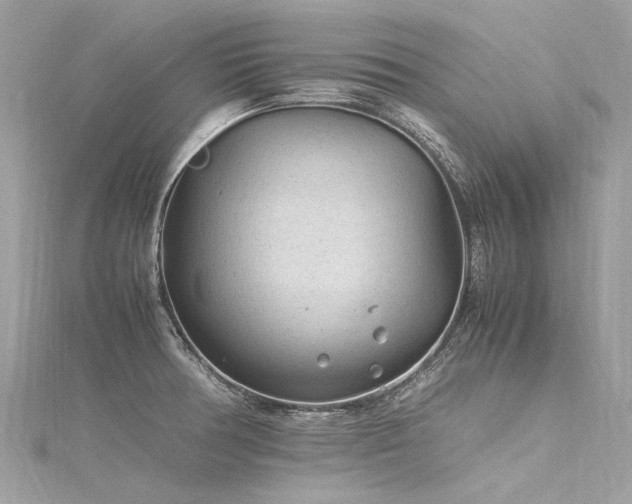 X0000116311378200911301454