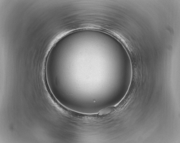 X0000116311379200911301454