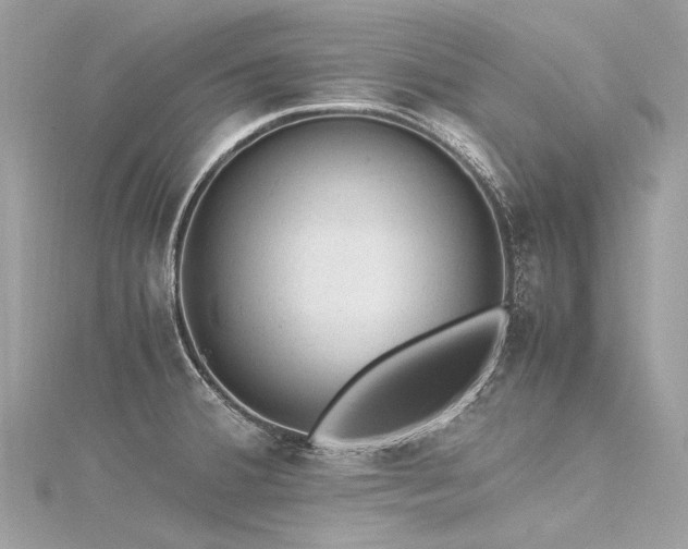 X0000116311380200911301454