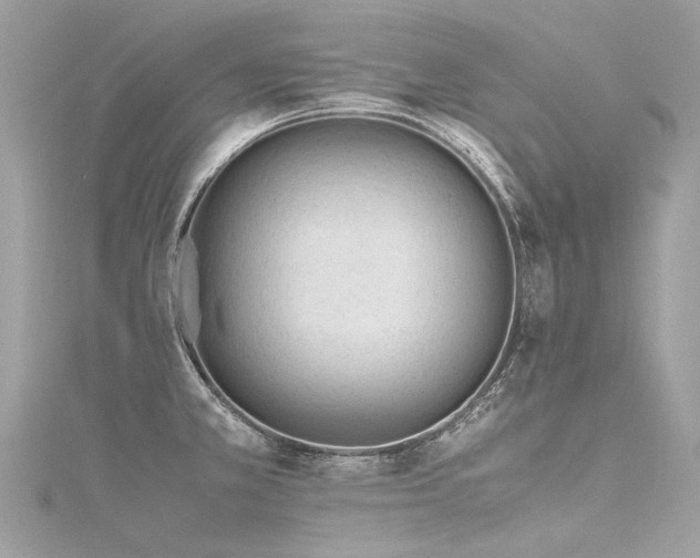 X0000116311381200911301454