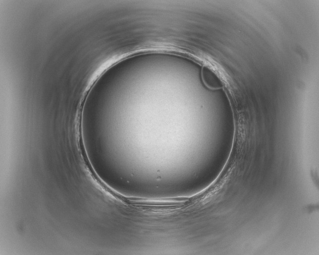 X0000116311382200911301454