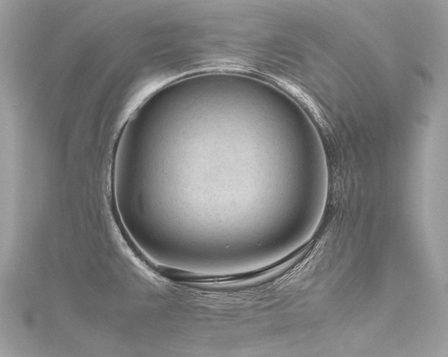 X0000116311383200911301454