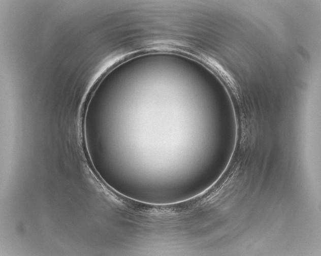 X0000116311384200911301454