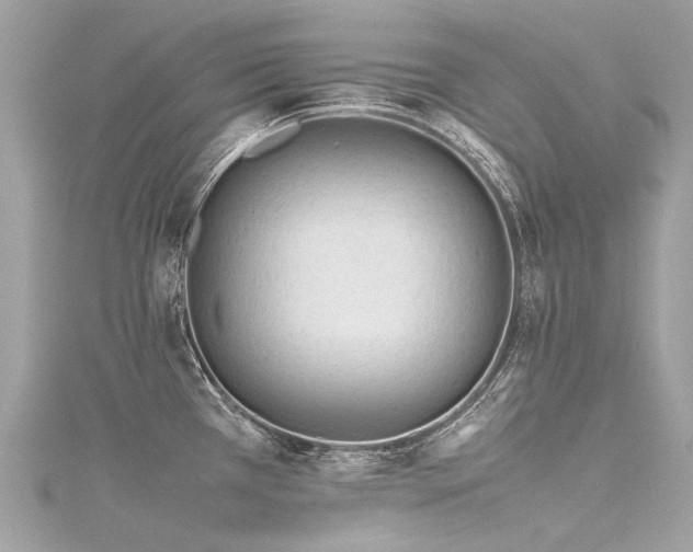 X0000116311385200911301454