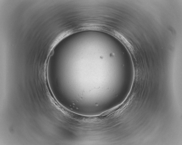 X0000116311386200911301454