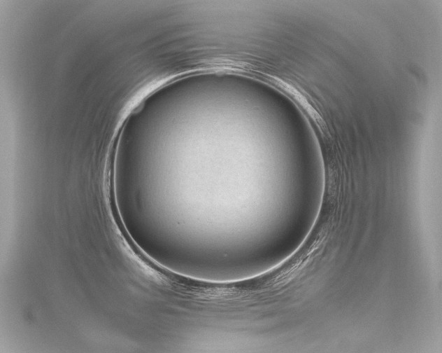 X0000116311387200911301454