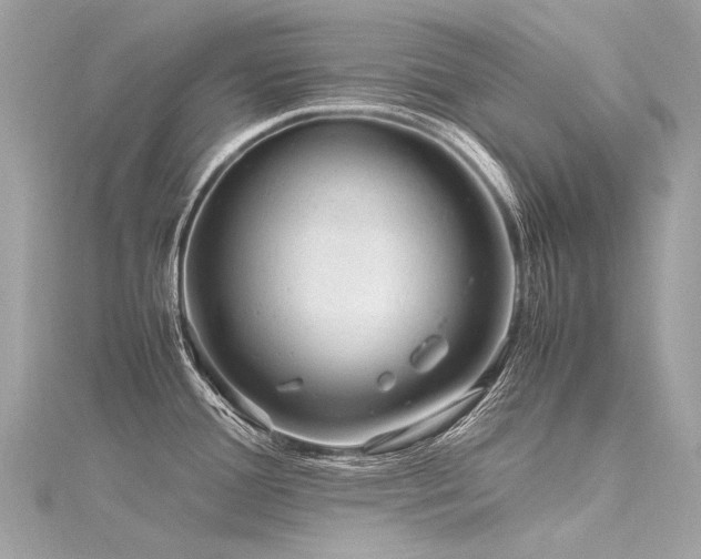 X0000116311388200911301454