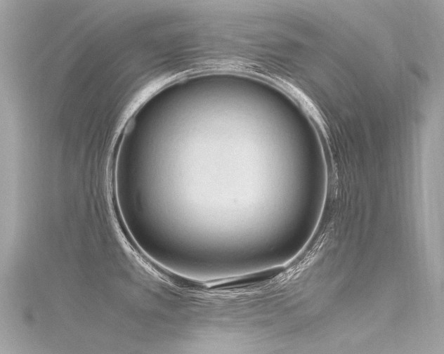 X0000116311389200911301454