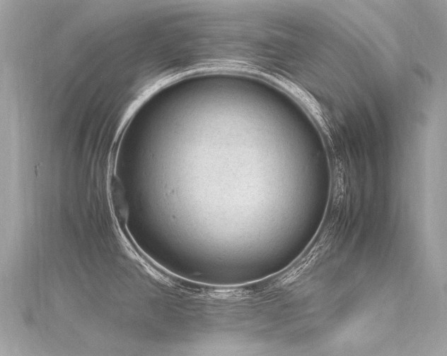 X0000116311390200911301454