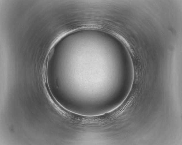 X0000116311391200911301454