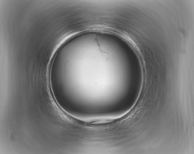 X0000116311392200911301454