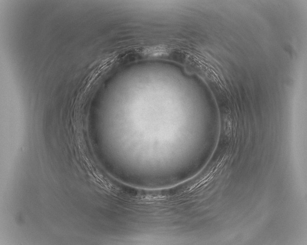 X0000116311393200911301453