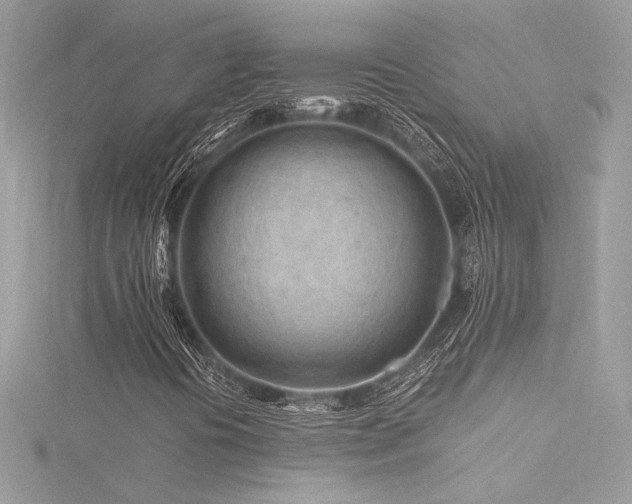 X0000116311394200911301453